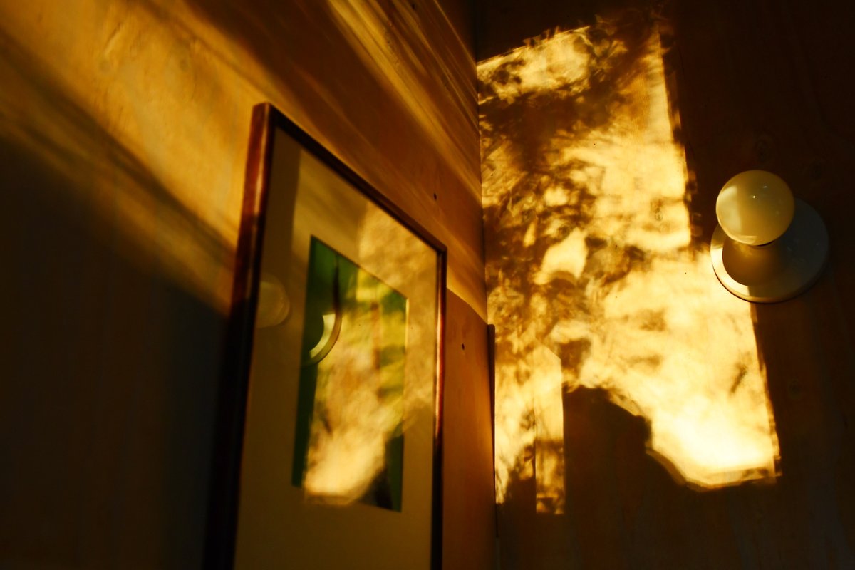 森の木立を透かした夕陽が映り込み、階段の踊り場が光っていました
昼間の暑さもどうにかおさまり、涼しい風が吹き始めた夕方です
今日も暑かったですね、お疲れさまでした🙂＃道東