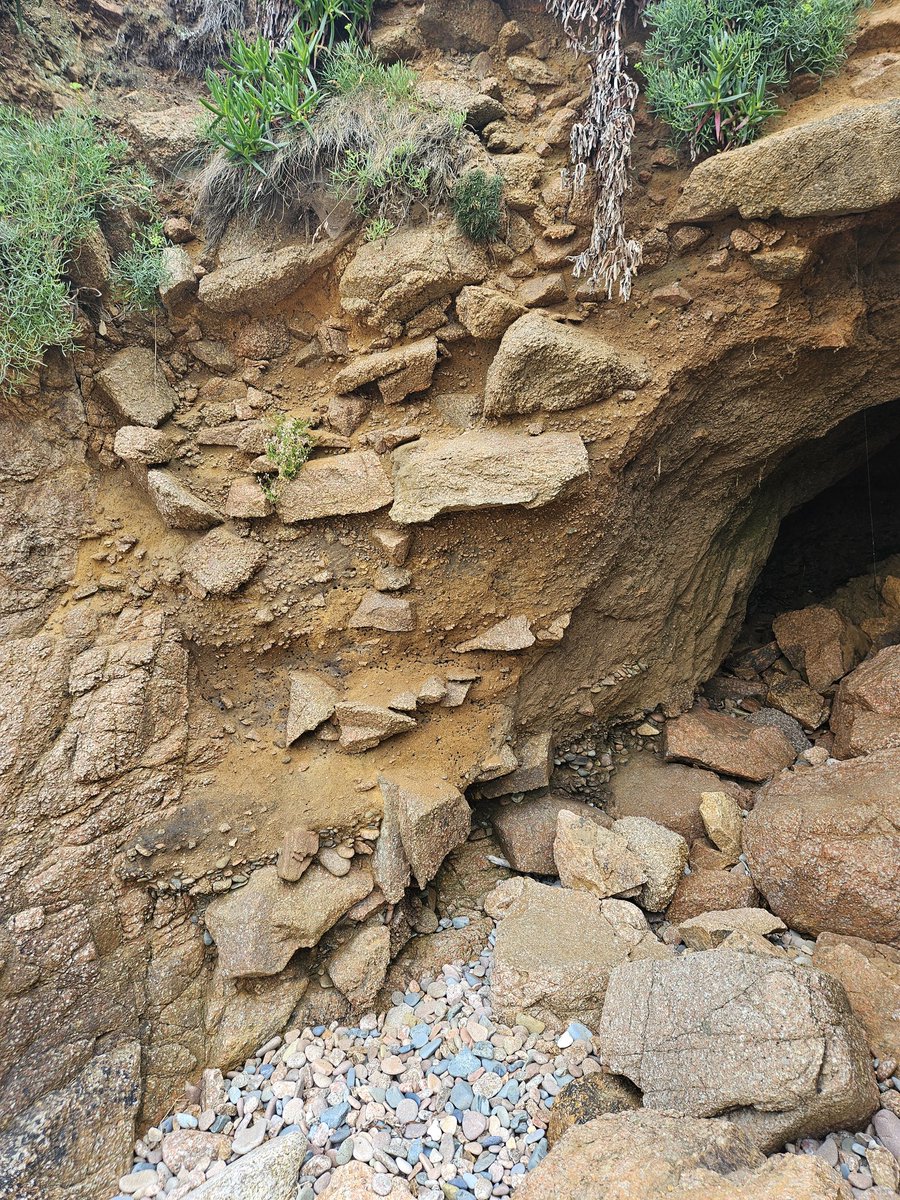 MatthewPope's tweet photo. Starting #IceAgeIsand fieldwork &amp; field school this week with @JerseyHeritage. Already new locations discovered, widening our understanding of this remarkable island's deep prehistoric past.
 🦣🇯🇪 https://t.co/rwlUNAkQA4