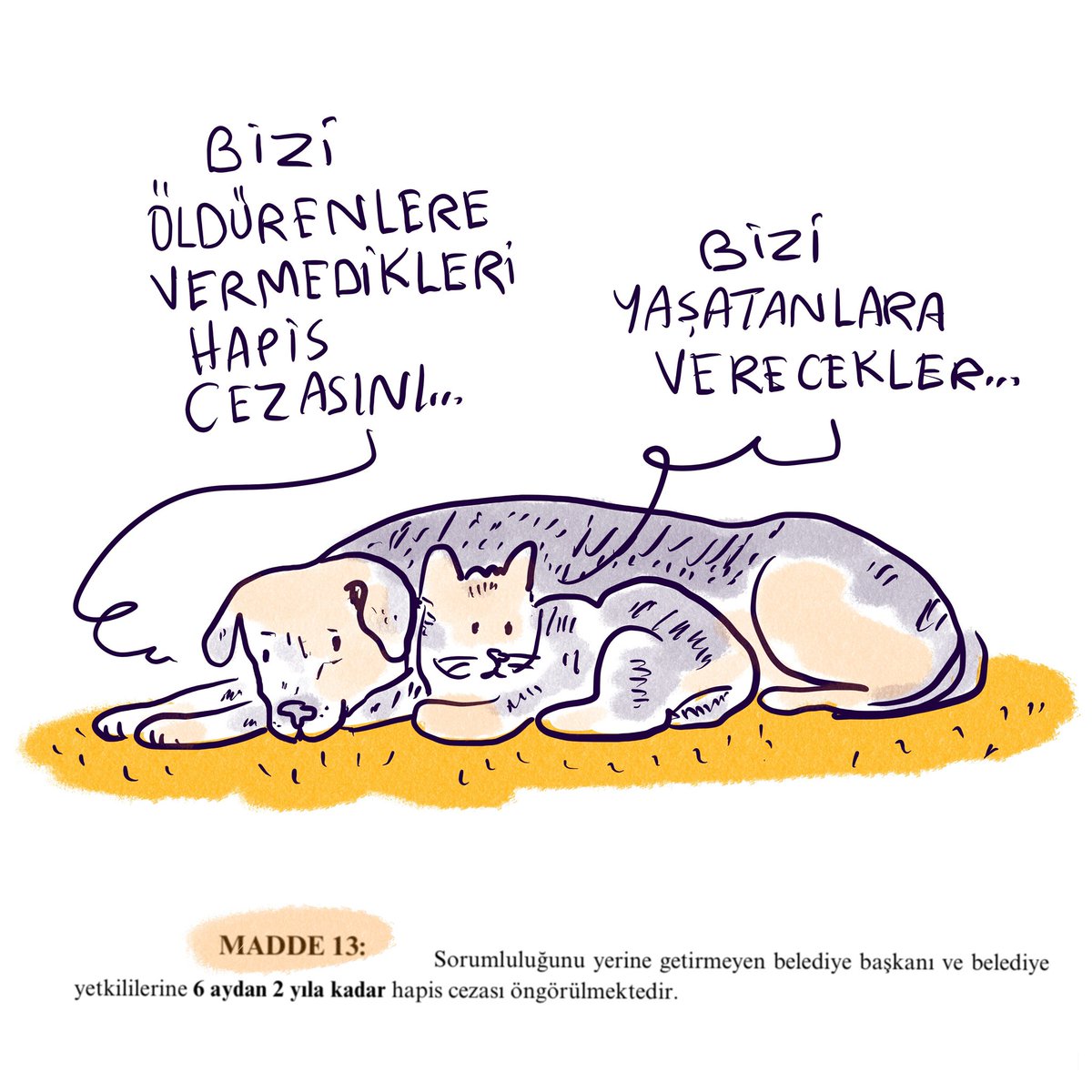 Bugün, saat 14’te görüşülmeye devam edecek katliam kanununun 13. maddesi yerel yöneticileri sokakta yaşayan hayvanları toplayıp, öldürmedikleri takdirde “6 aydan 2 yıla kadar hapis cezası” istiyor.

Bugün son, bu kanunu geri çekin! 
#YasayıGeriÇek