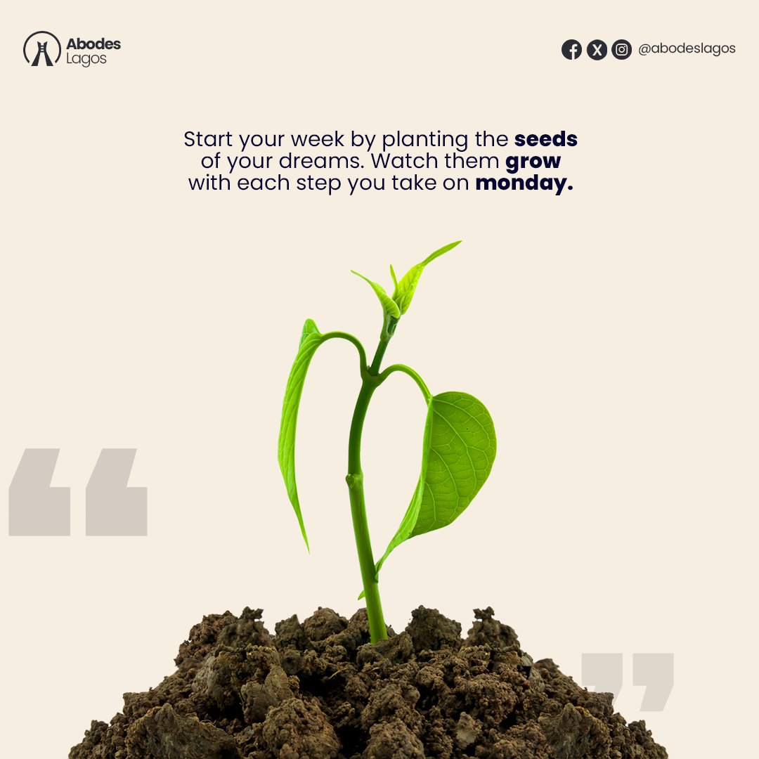Start your week by planting the seeds of your dreams. Watch them grow with each step you take on Monday."

Gistlover | Cement | Mummy Zee | Hilda | Akpabio | Atiku | Brainjotter | Otedola | Ini Edo | LGBTQ