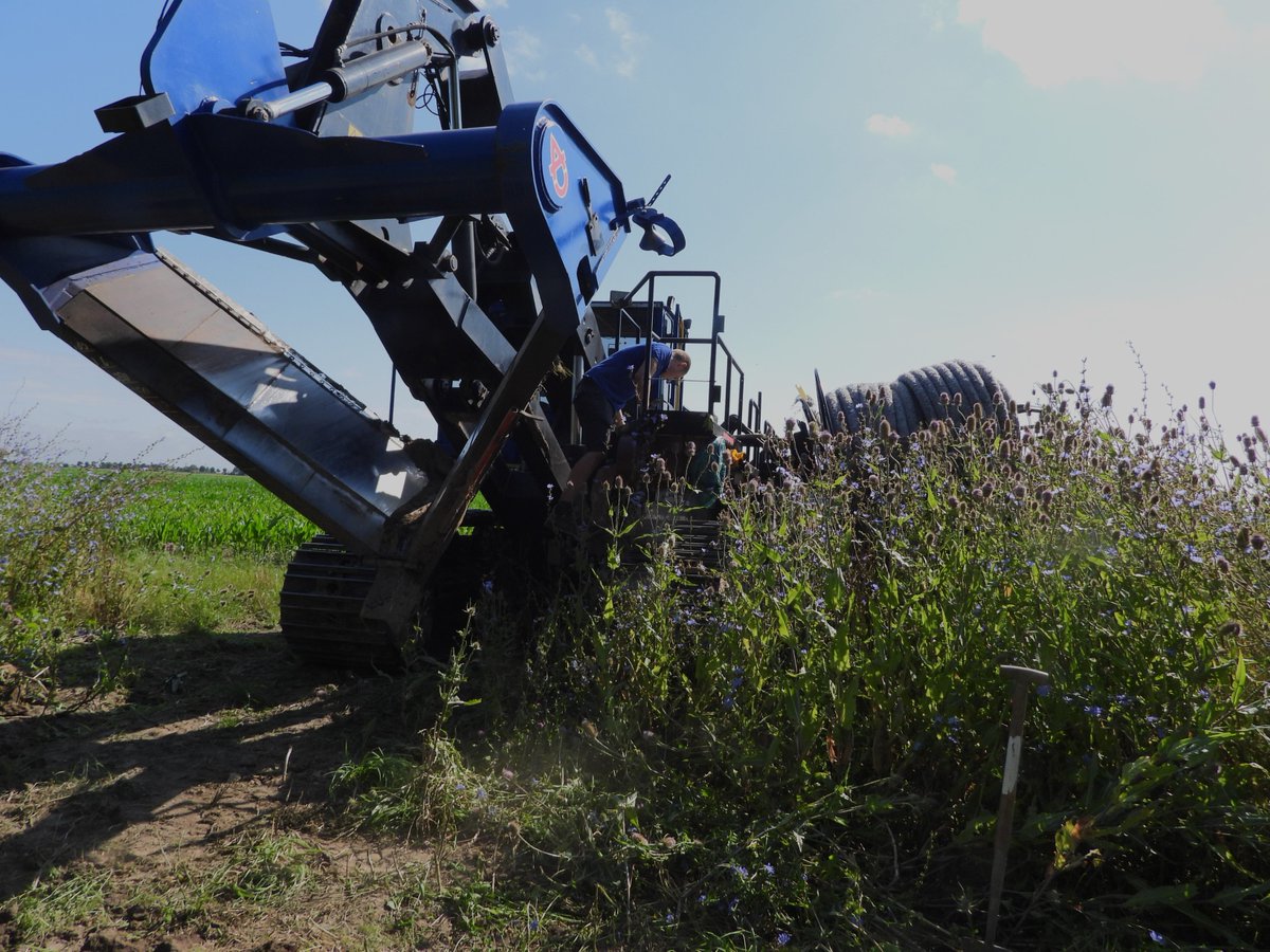 Frank Kuijpers tweet media