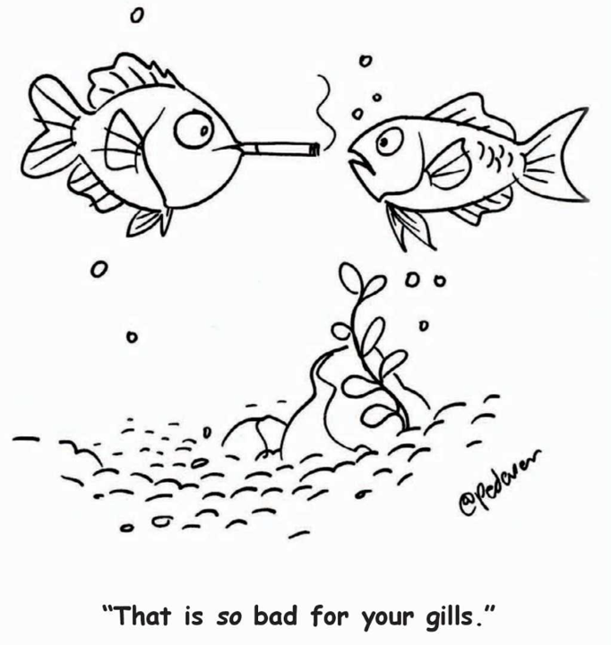 TFHmagazine's tweet photo. At least the water's filtered. 😉
#TropicalFishHobbyist #cartoon #fishhumor #aquariumfun https://t.co/1ygyCF4wJ1
