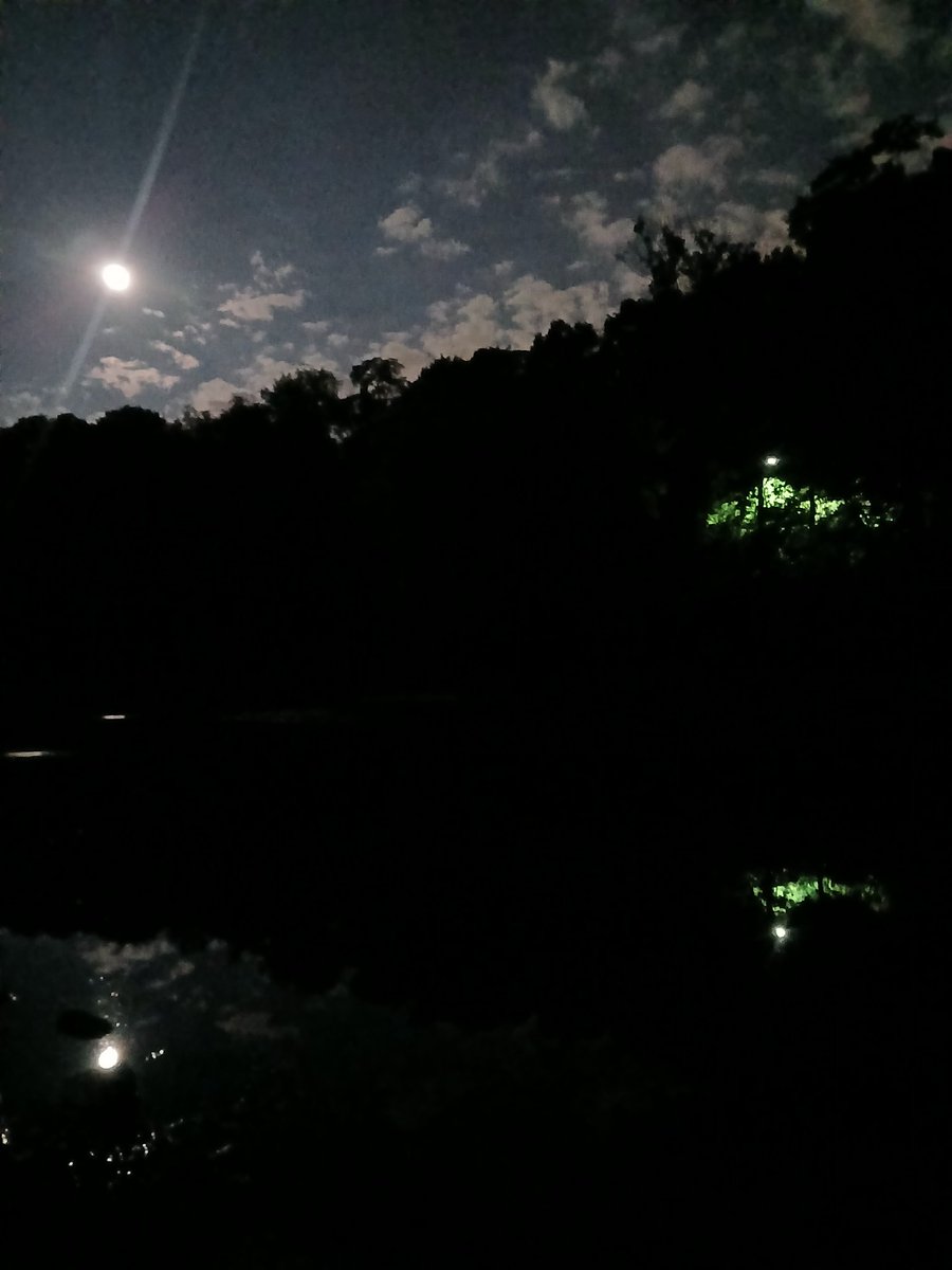 Ive started night fishing at this manmade lake in the city. I love it. Everytime I catch a fish its so disorienting bc the quiet solitude is suddenly broken by the arrival of this odd creature who couldnt possibly understand why Ive brought him here. What must they think of us?