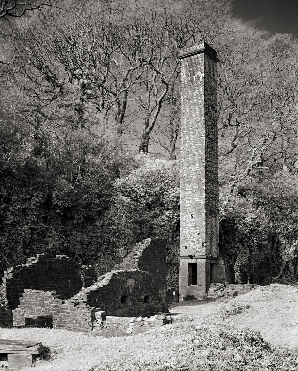 John Martin tweet media