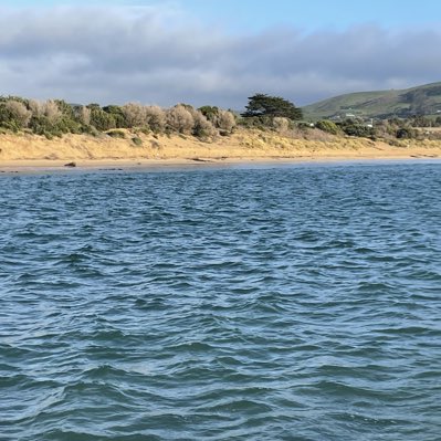 MuturiMuturi19's tweet image. #NewProfilePic