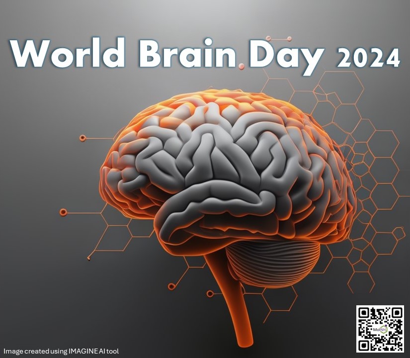 Today is World Brain Day focused on Brain Health and Prevention.
In our laboratory at <a href="/nova_medschool/">NOVA Medical School</a>  we are developing the future therapy based on the small molecules aimed to prevent and cure Parkinson’s disease.
For the future without brain diseases!
#WorldBrainDay2024