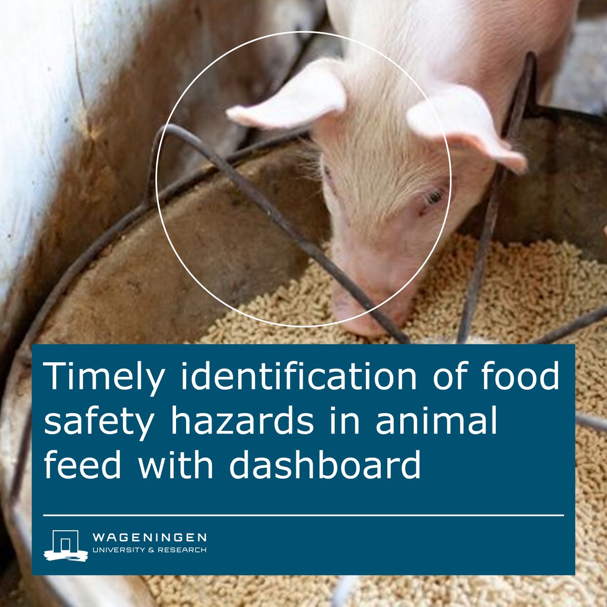 WURfoodsafety's tweet photo. 📊@WURfoodsafety, together with partners from the #animal #feed sector, has developed a digital interactive #dashboard that provides insight into #foodsafety.

🔗https://t.co/vvNdtCBx9W https://t.co/yvkiX17YDG