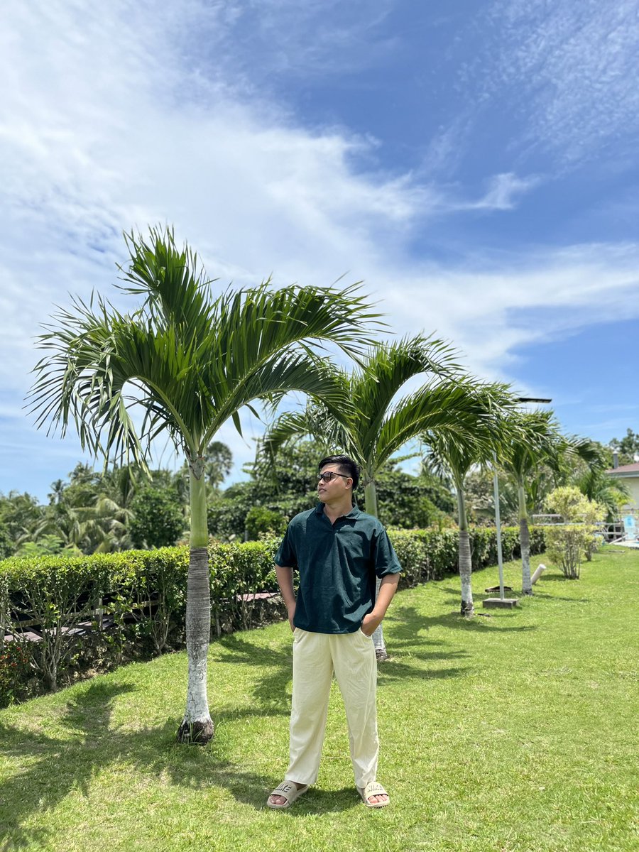 RinoClave's tweet photo. 💚💚 https://t.co/fwZ7pGc3dH