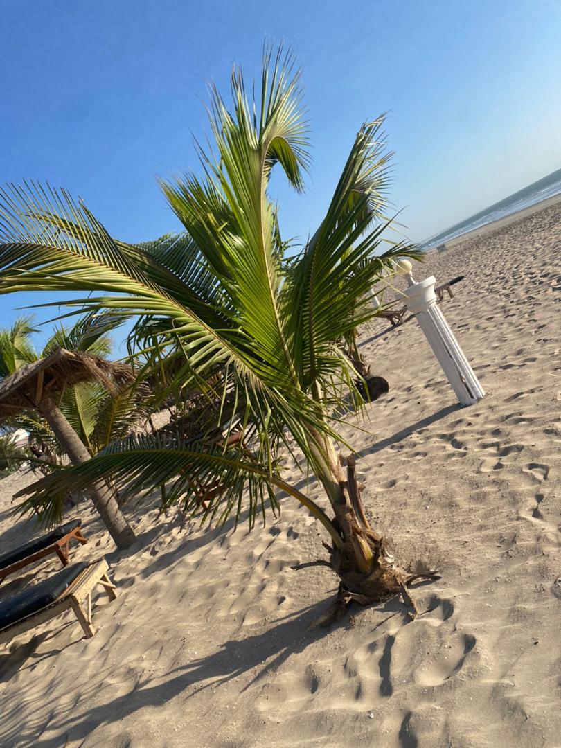 Modou Sarr (@modou__sarr) on Twitter photo 