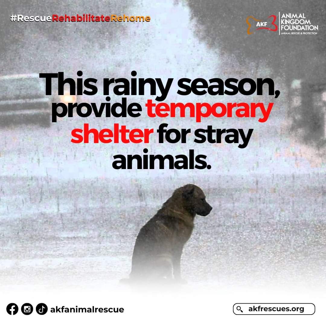 itsearien's tweet image. Let's not forget them

#CarinaPH