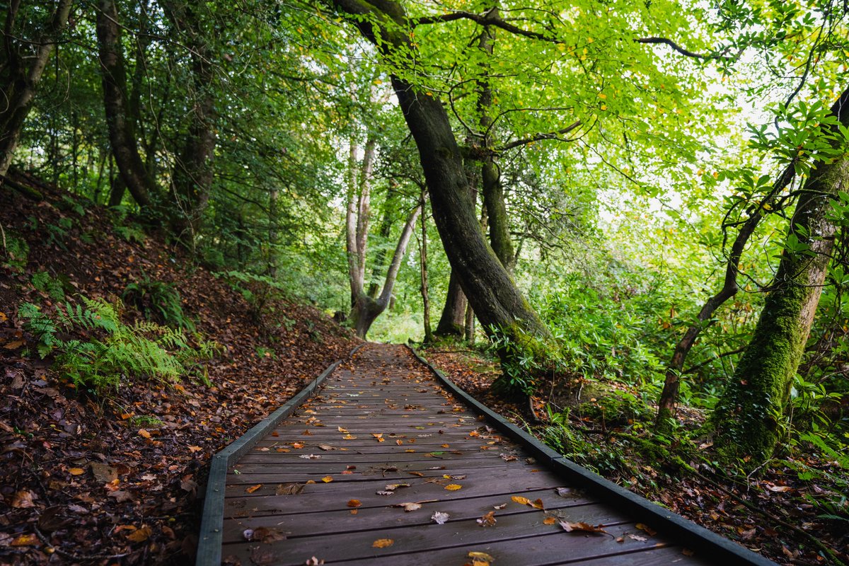 Bridgend CB Council (@bridgendcbc) on Twitter photo Take a Meadow Meander at <a href="/BryngarwPark/">Bryngarw Country Park</a>
Enjoy the beautiful display of wildflowers as you explore the open meadows.
🚶Walk length: ½ mile.
bryngarwcountrypark.co.uk/nature-trails/ Take a Meadow Meander at <a href="/BryngarwPark/">Bryngarw Country Park</a>
Enjoy the beautiful display of wildflowers as you explore the open meadows.
🚶Walk length: ½ mile.
bryngarwcountrypark.co.uk/nature-trails/
