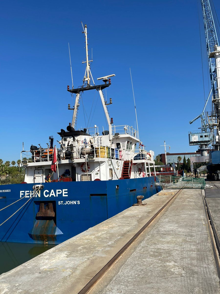 PuertoDeSevilla's tweet photo. Hoy acogemos en el Muelle Norte una operativa singular ➡️ @Estibadora_Sev descarga varias piezas que formarán parte de una tolva para #Intermalta. Las estructuras han llegado a bordo del buque Fehn Cape procedentes de Brindisi #Italia.
Compartimos imágenes 📸 del proceso: https://t.co/mFMyGm2Ckj
