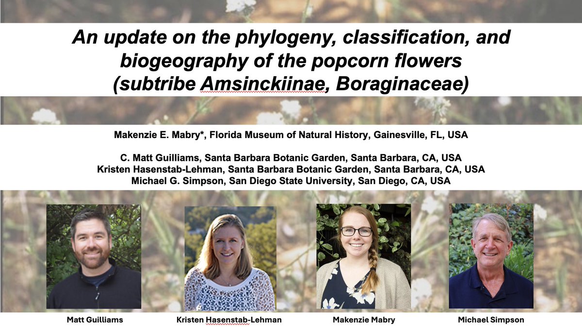 Dr. Makenzie Mabry tweet media