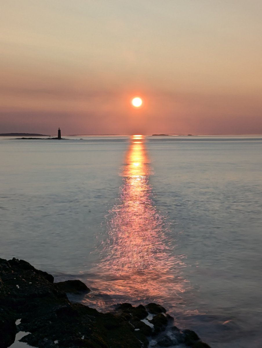 Matthew Wunderle tweet media