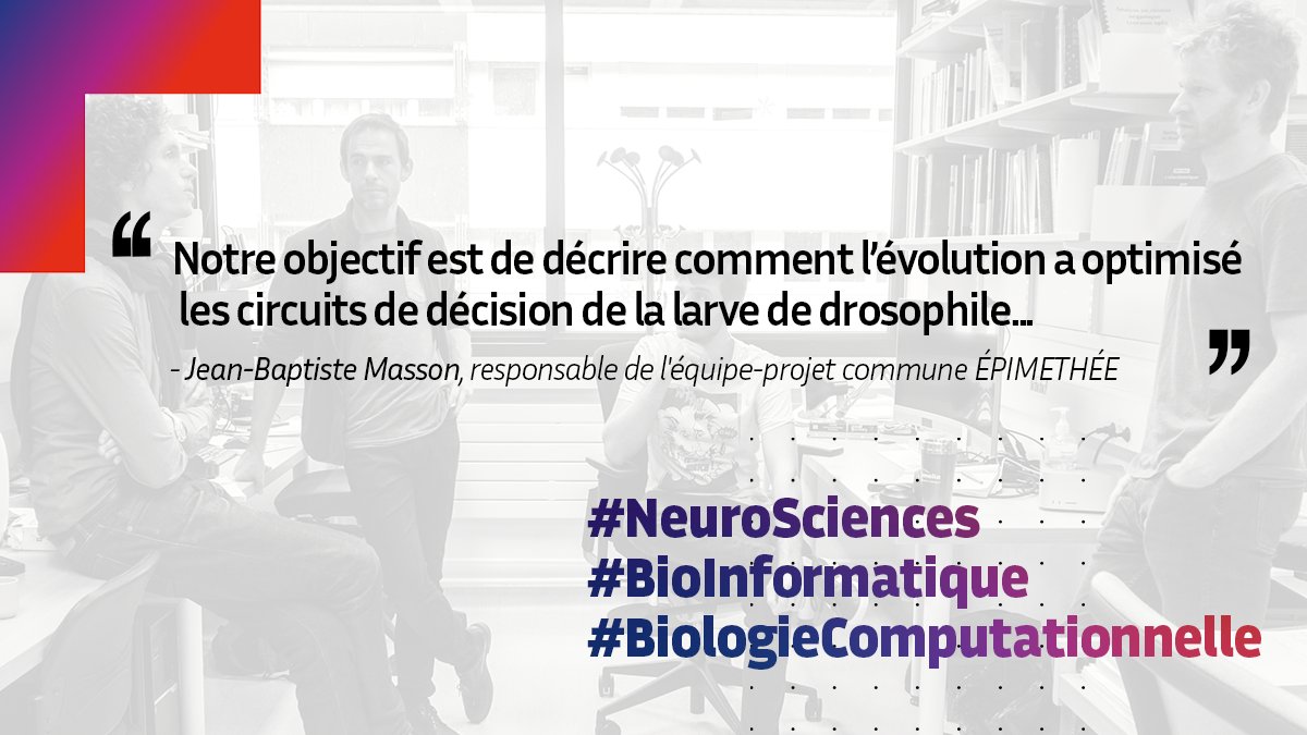inria_paris's tweet image. 📚 #ÉtéLecture | L’équipe-projet commune ÉPIMETHÉE étudie la larve de #drosophile pour mieux comprendre les effets des #MaladiesNeurologiques sur le système nerveux humain. Pourquoi placer autant d’espoir dans une si petite mouche 🪰❓ Réponse 👉 inria.fr/fr/larves-dros…