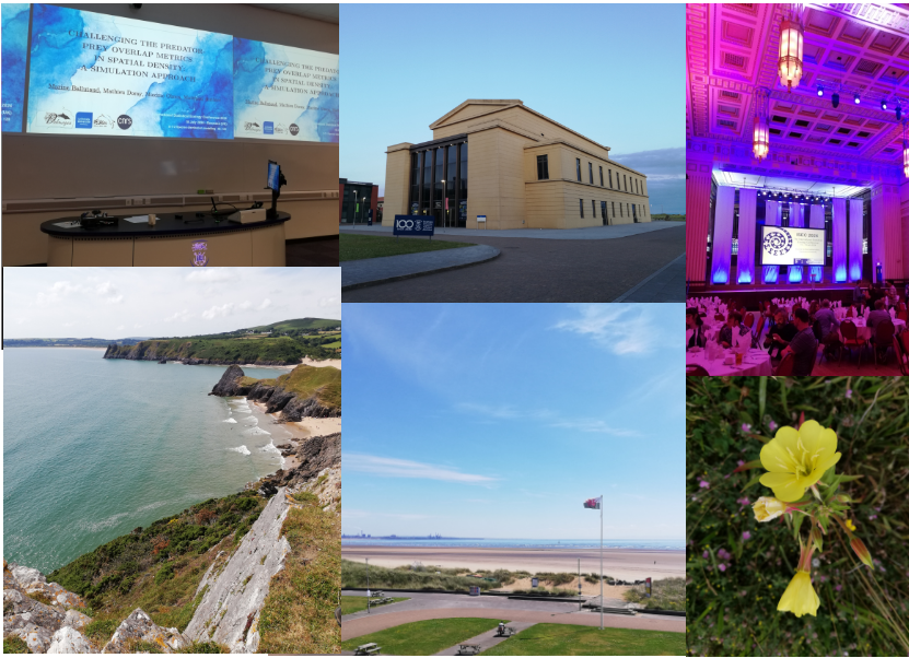 Marine Ballutaud tweet media