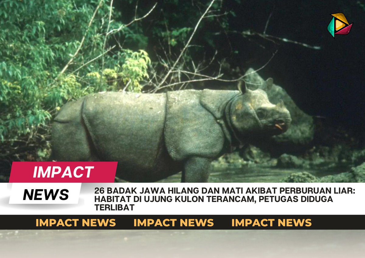 ️
️
“Sebanyak 26 ekor Badak Jawa dinyatakan hilang dan telah mati, akibat perburuan liar di Taman Nasional Ujung Kulon yang menjadi satu-satunya habitat alami Badak Jawa, atau yang lebih akrab kita sebut Badak Bercula Satu di Indonesia.”
️
️