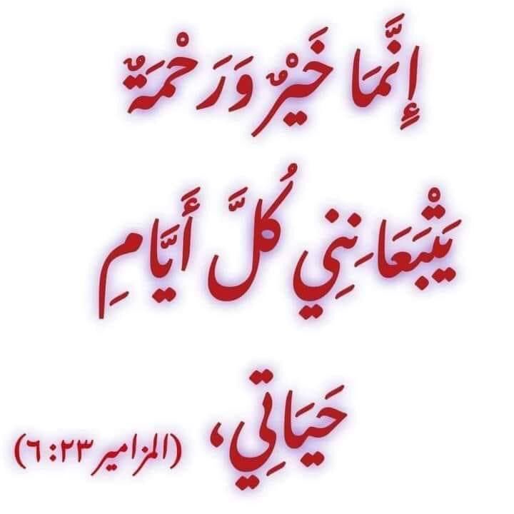 Edward Estafanous (@edwardgesen) on Twitter photo 