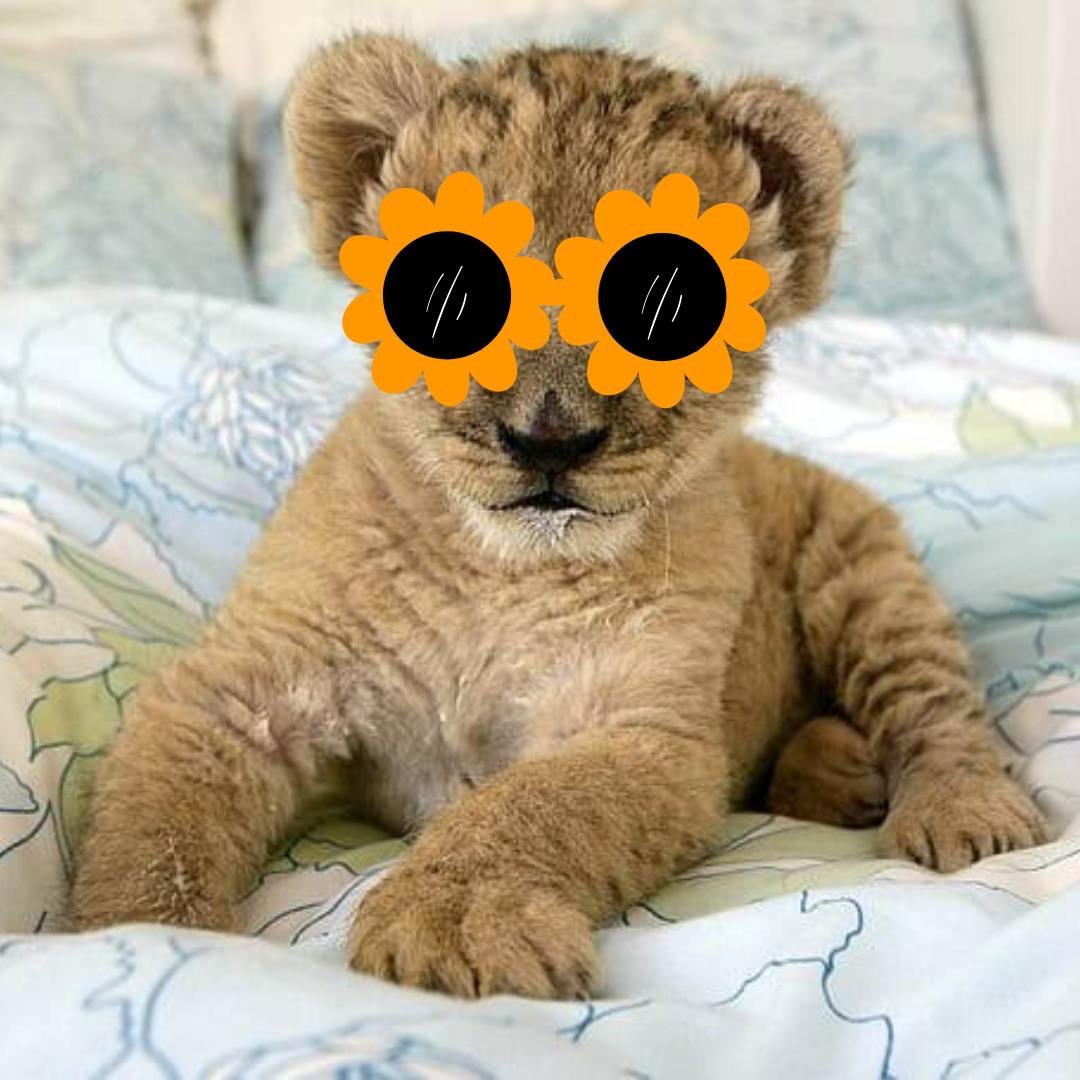 AlphaaRaidor's tweet photo. @MarzellCrypto Im holding $WILLY

HPEuArjrUccrXWZhcQUhC2nhN7XgGyaogjy4BLN8pump https://t.co/CfQfcz1ZrM