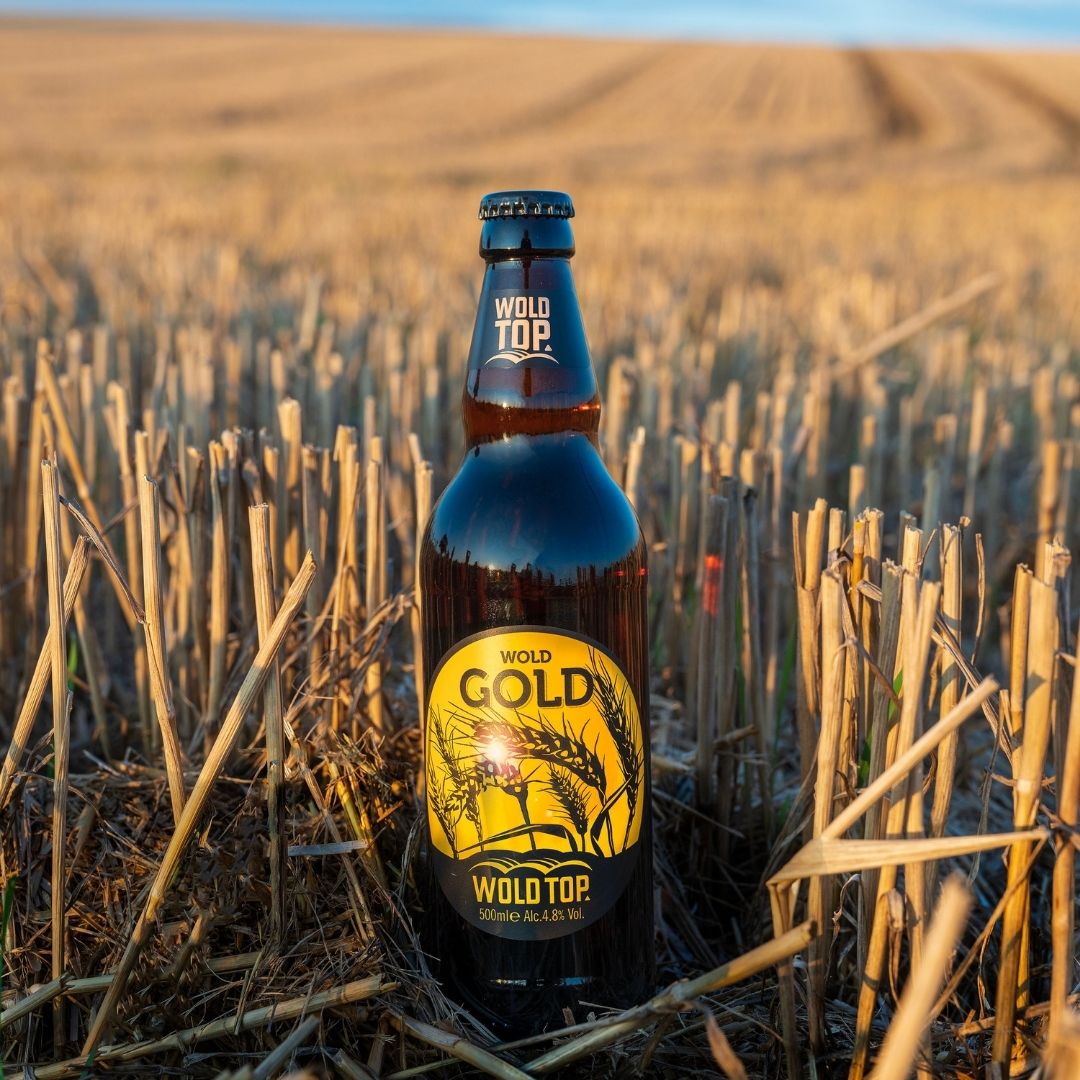 woldtopbrewery's tweet photo. Wold Gold, a beautiful blonde ale with hints of soft stone fruits like peaches and apricots, and lightly spiced notes. This Yorkshire twist on a European wheat beer pairs perfectly with curries or fish and chips. Enjoy it with friends! Cheers! #woldtop #woldtopbrewery #woldgold https://t.co/TDEgfuGNoZ