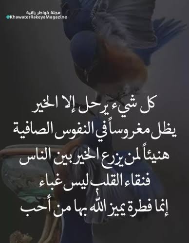 اهداء لمن نحب والمتابعين والمساء الجميل