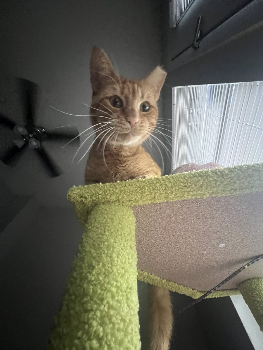 goob Mornins 2 all mine frend’s!!!! < 3