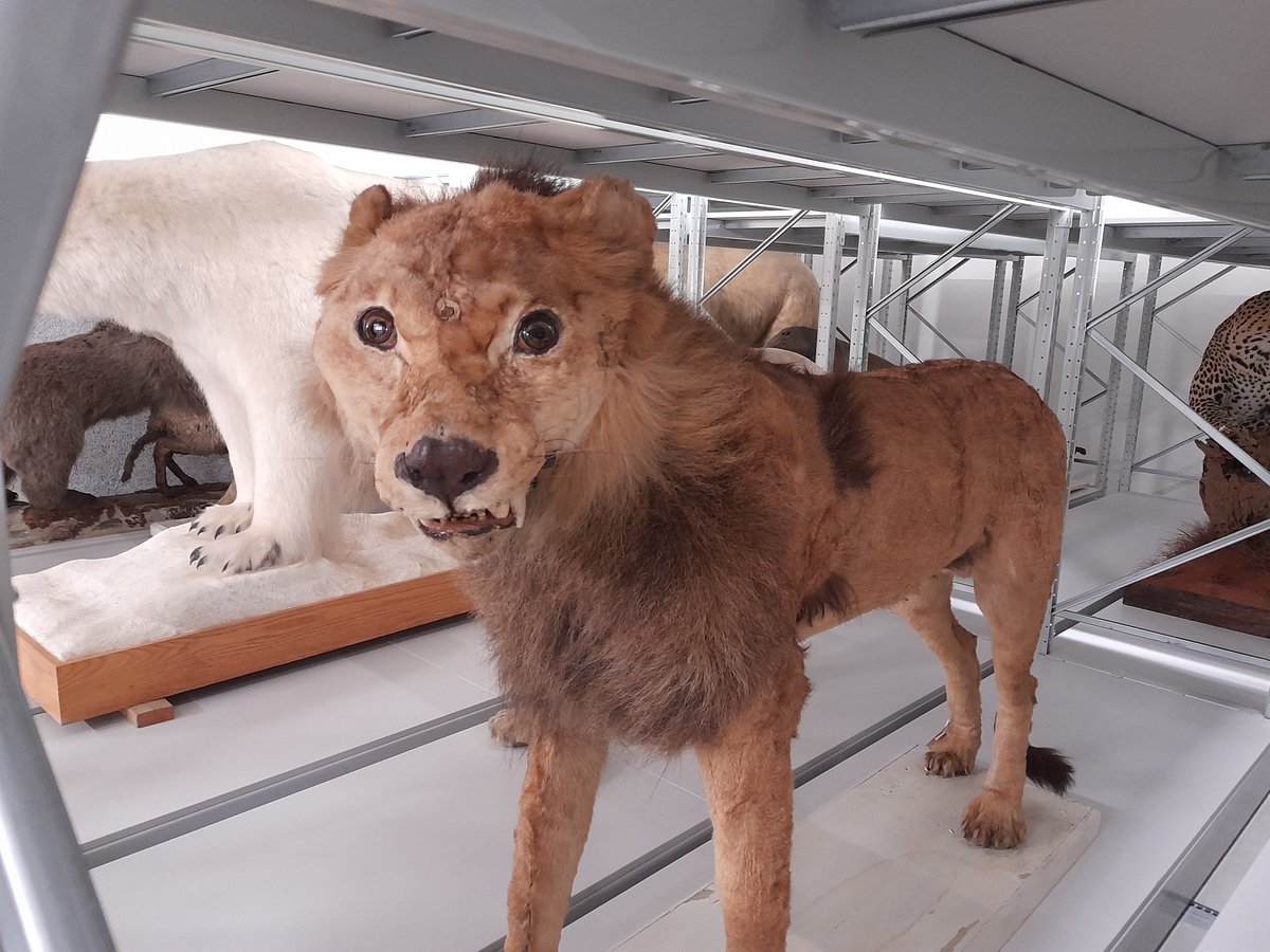 Jordan Bestwick tweet media