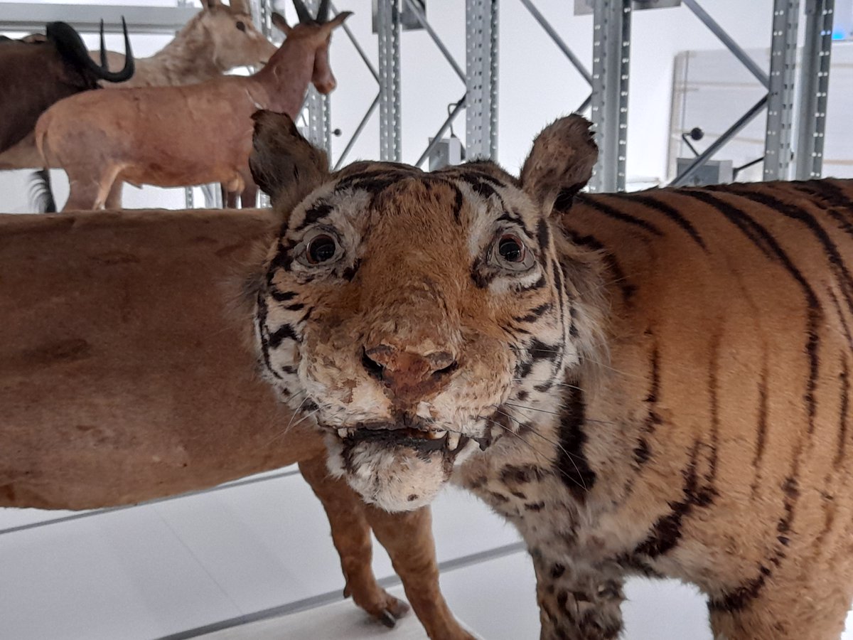 Jordan Bestwick tweet media