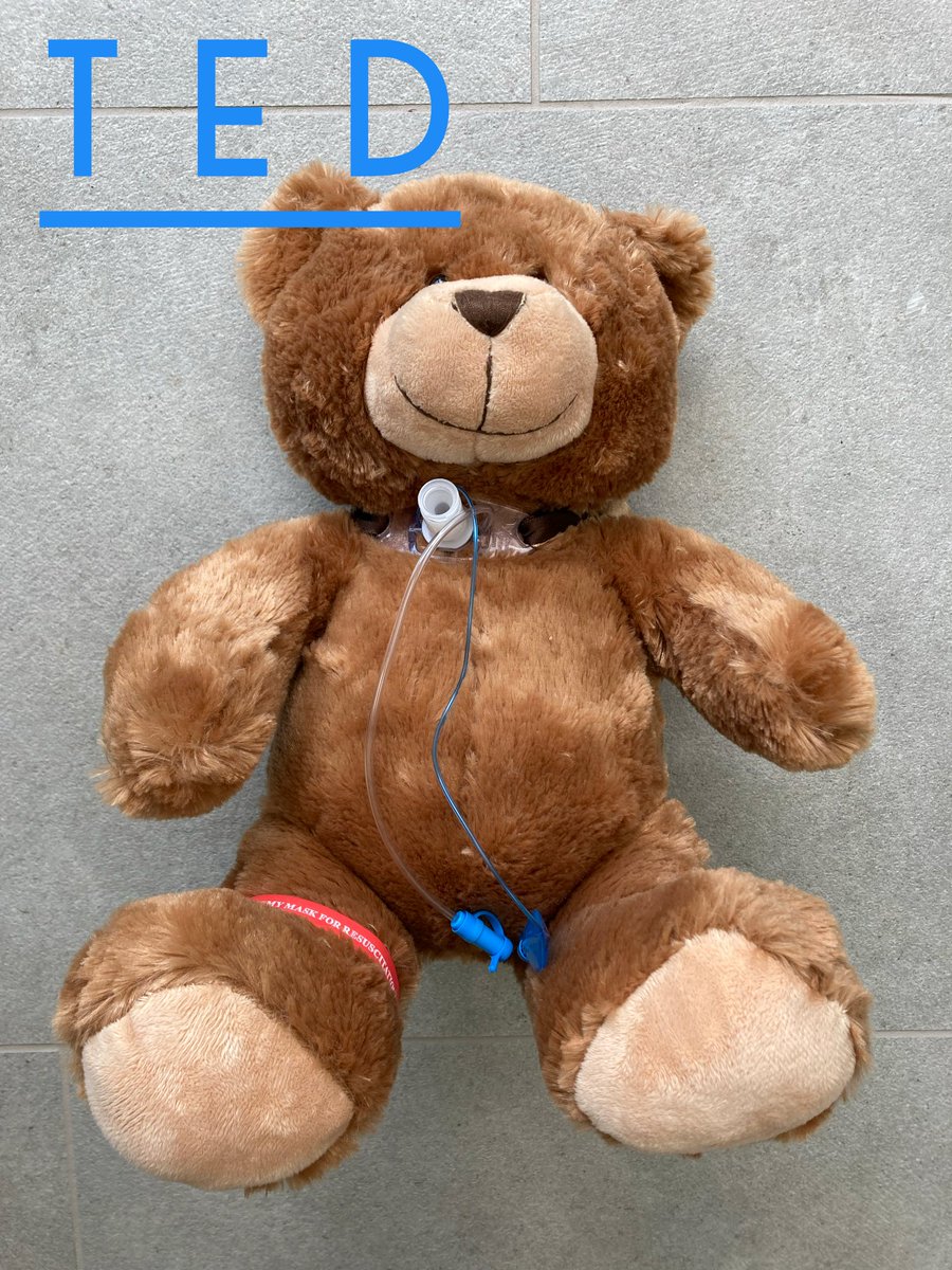 Schools and Colleges Careers Outreach in Somerset (@sftsiminschools) on Twitter photo Have you met Ted yet? The wonderful Speech and Language Therapy team <a href="/SomersetFT/">Somerset NHS Foundation Trust</a> Musgrove helped to create Trachy Ted for our #teddyhospital! He's going to support us to introduce #nhssalt to young children in a visual way.
<a href="/somNHS_LD/">L&D | Somerset NHS Foundation Trust</a> #nhsjobs #AHP Have you met Ted yet? The wonderful Speech and Language Therapy team <a href="/SomersetFT/">Somerset NHS Foundation Trust</a> Musgrove helped to create Trachy Ted for our #teddyhospital! He's going to support us to introduce #nhssalt to young children in a visual way.
<a href="/somNHS_LD/">L&D | Somerset NHS Foundation Trust</a> #nhsjobs #AHP