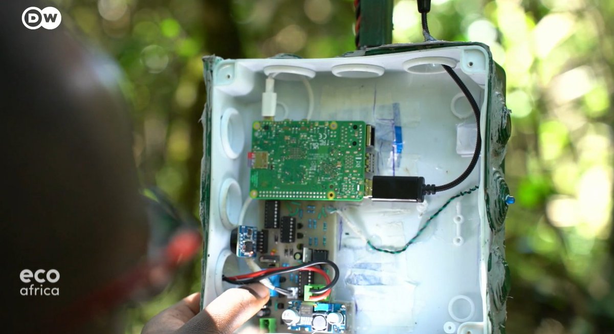DanielPlafker's tweet image. Machine learning is revolutionizing #forestry management in #Kenya, with AI microphones monitoring habitat degradation through birdsong data and stereoscopic tree cameras for assessing carbon stock. 🐦⬛🇰🇪
Shot for DW's EcoAfrica with Alexandria Williams
dw.com/en/artificial-…