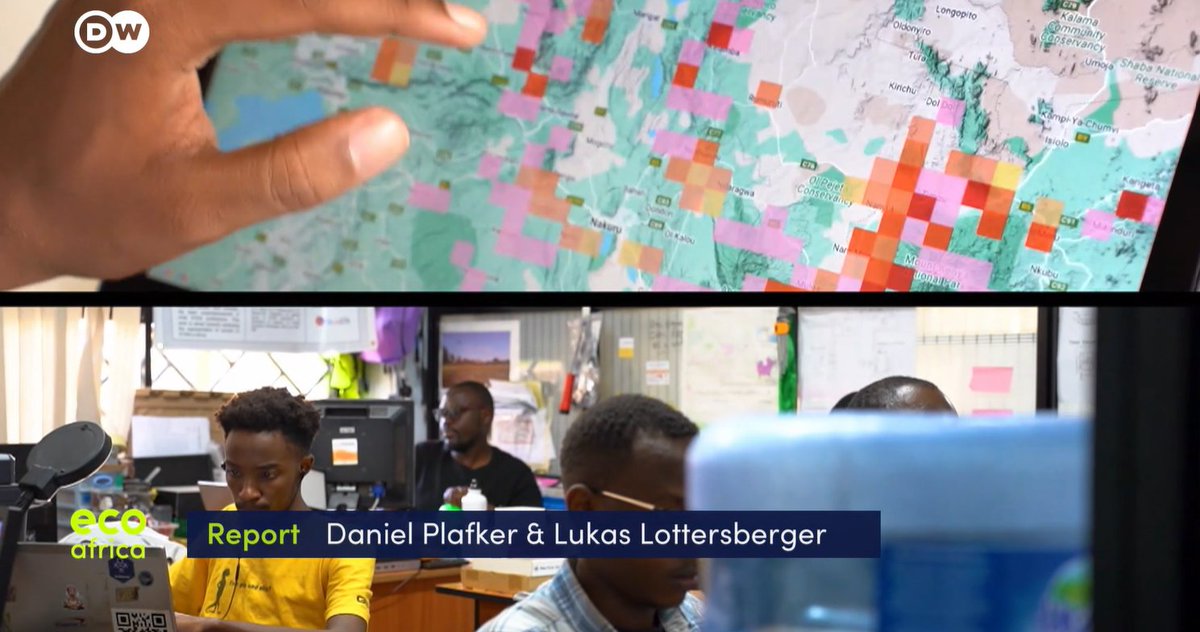 DanielPlafker's tweet image. Machine learning is revolutionizing #forestry management in #Kenya, with AI microphones monitoring habitat degradation through birdsong data and stereoscopic tree cameras for assessing carbon stock. 🐦⬛🇰🇪
Shot for DW's EcoAfrica with Alexandria Williams
dw.com/en/artificial-…