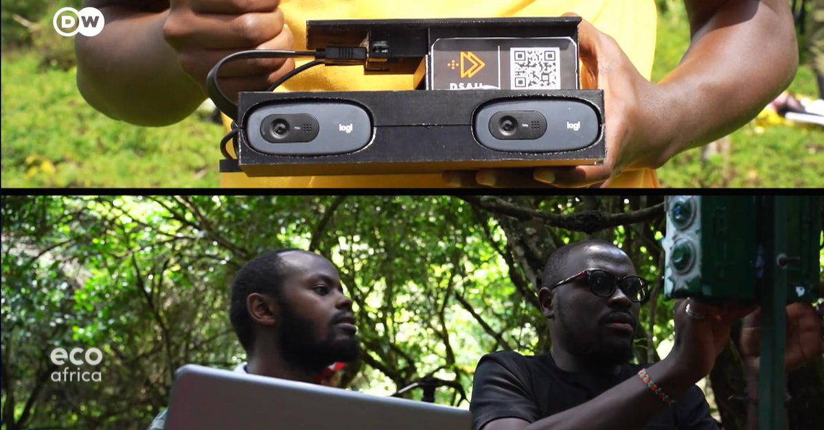 DanielPlafker's tweet image. Machine learning is revolutionizing #forestry management in #Kenya, with AI microphones monitoring habitat degradation through birdsong data and stereoscopic tree cameras for assessing carbon stock. 🐦⬛🇰🇪
Shot for DW's EcoAfrica with Alexandria Williams
dw.com/en/artificial-…