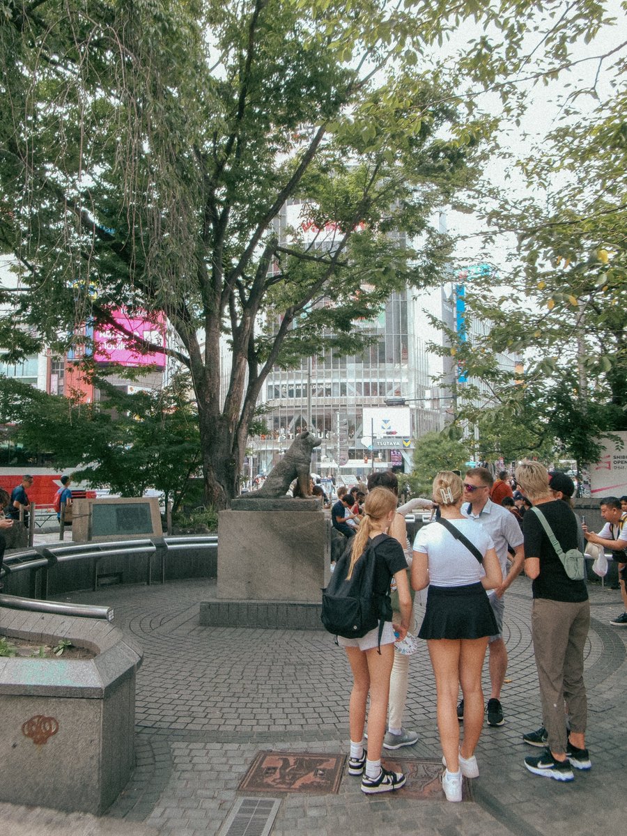 tatograph_'s tweet photo. 📍渋谷 📷fz55 https://t.co/14z6QbjIMO