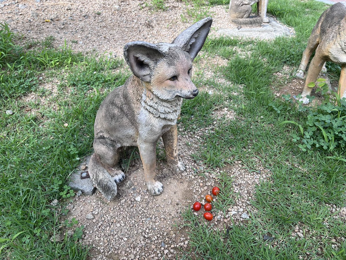 놀이터에서 발견한 
빨간 동심의 조각들