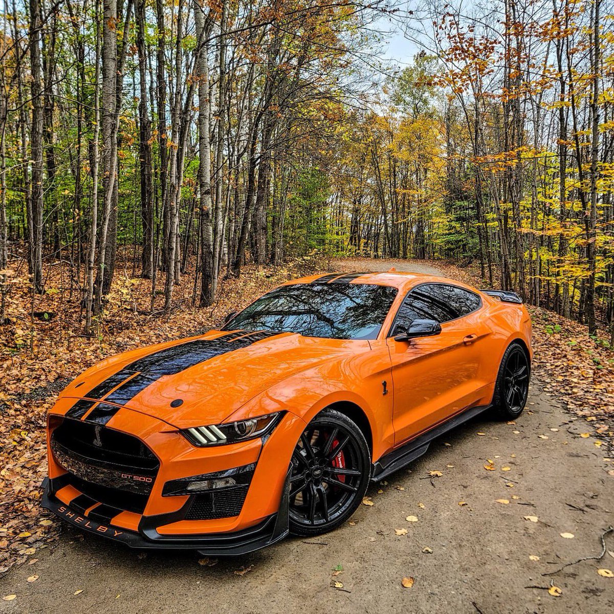 Cobra3dD's tweet photo. “ Mustang Monday “  🧡🖤🧡 https://t.co/0afO8Zx9pL