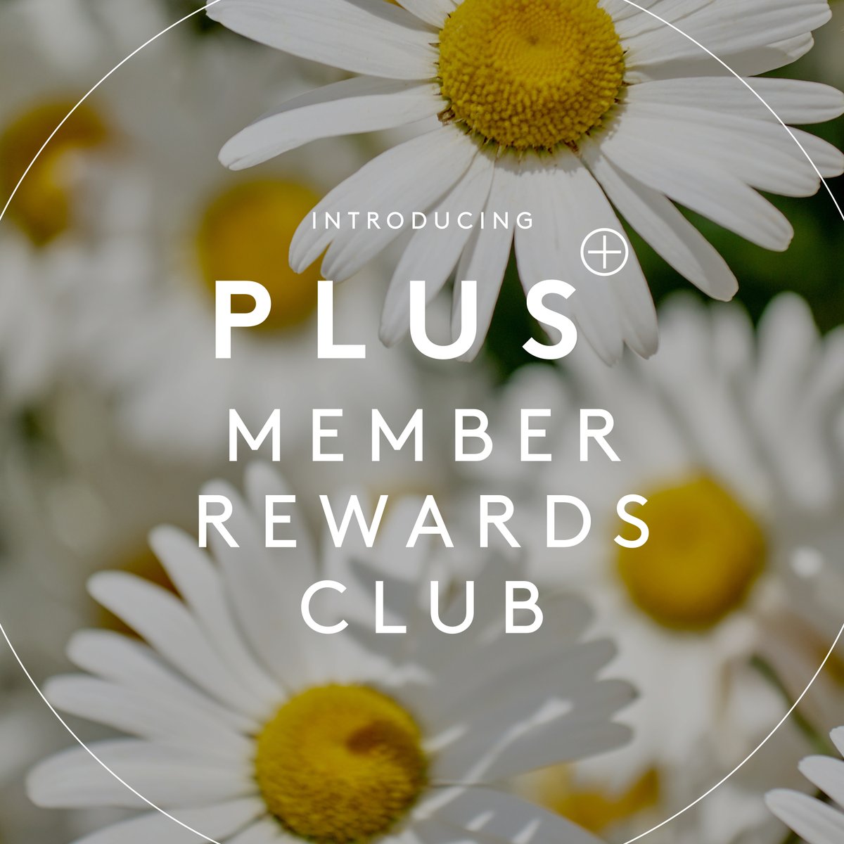 Introducing PLUS+, our brand new Member Rewards Club ➕ 

Receive exclusive offers direct to your inbox, early access to our upcoming events and first looks at all our latest new openings. Join today! bit.ly/3SaN5w8

#ClarksVillage #ThatLittleBitMore