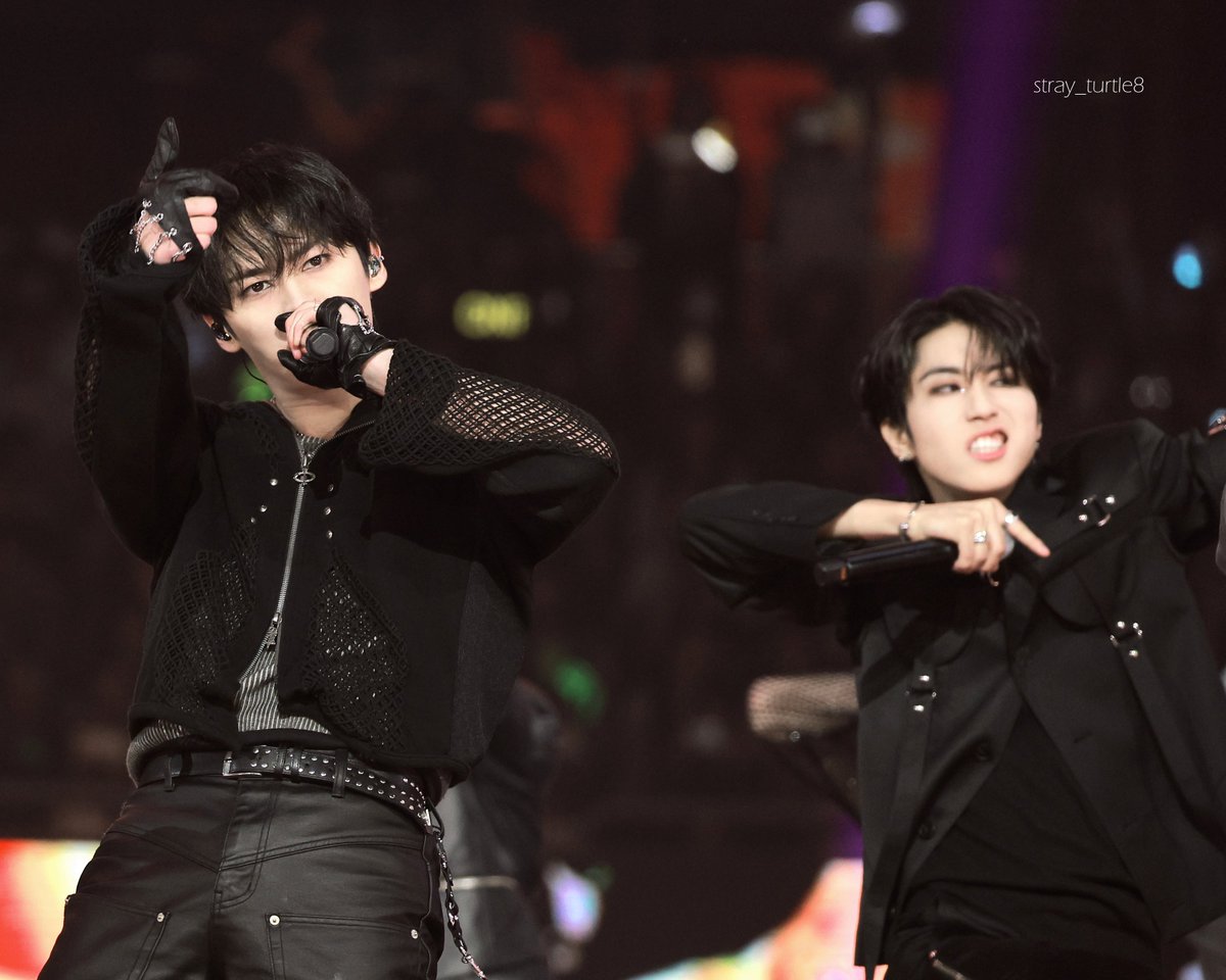 ˢᵗʳᵃʸ ᵗᵘʳᵗˡᵉ tweet media