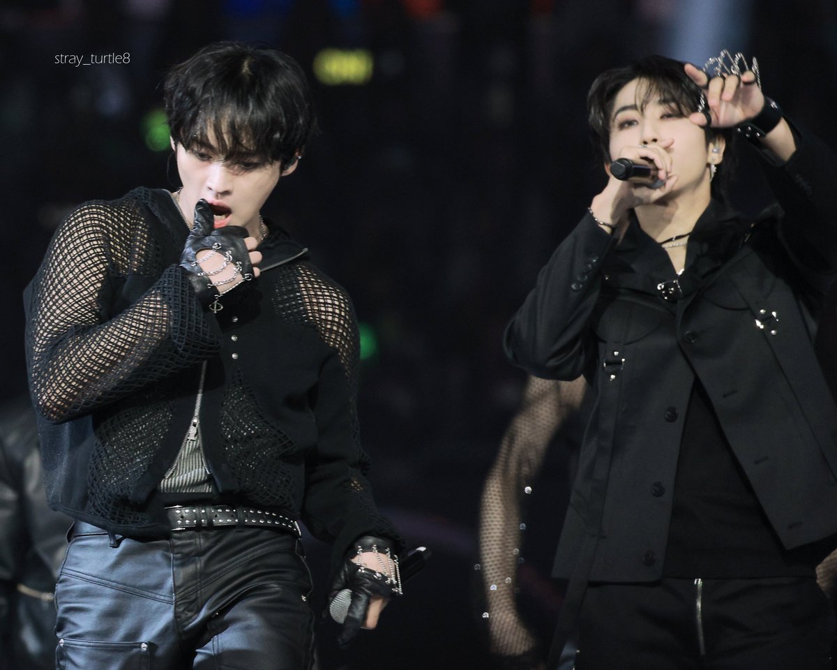 ˢᵗʳᵃʸ ᵗᵘʳᵗˡᵉ tweet media