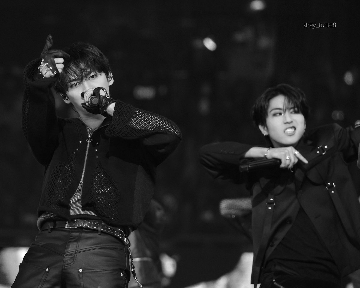 ˢᵗʳᵃʸ ᵗᵘʳᵗˡᵉ tweet media