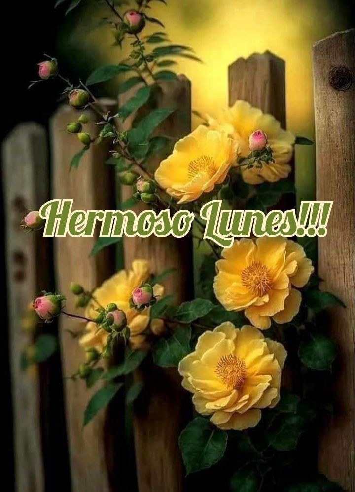 Que  la bendición de Dios te arrope en este hermoso día 🙏 
#BuenosDíasATodos