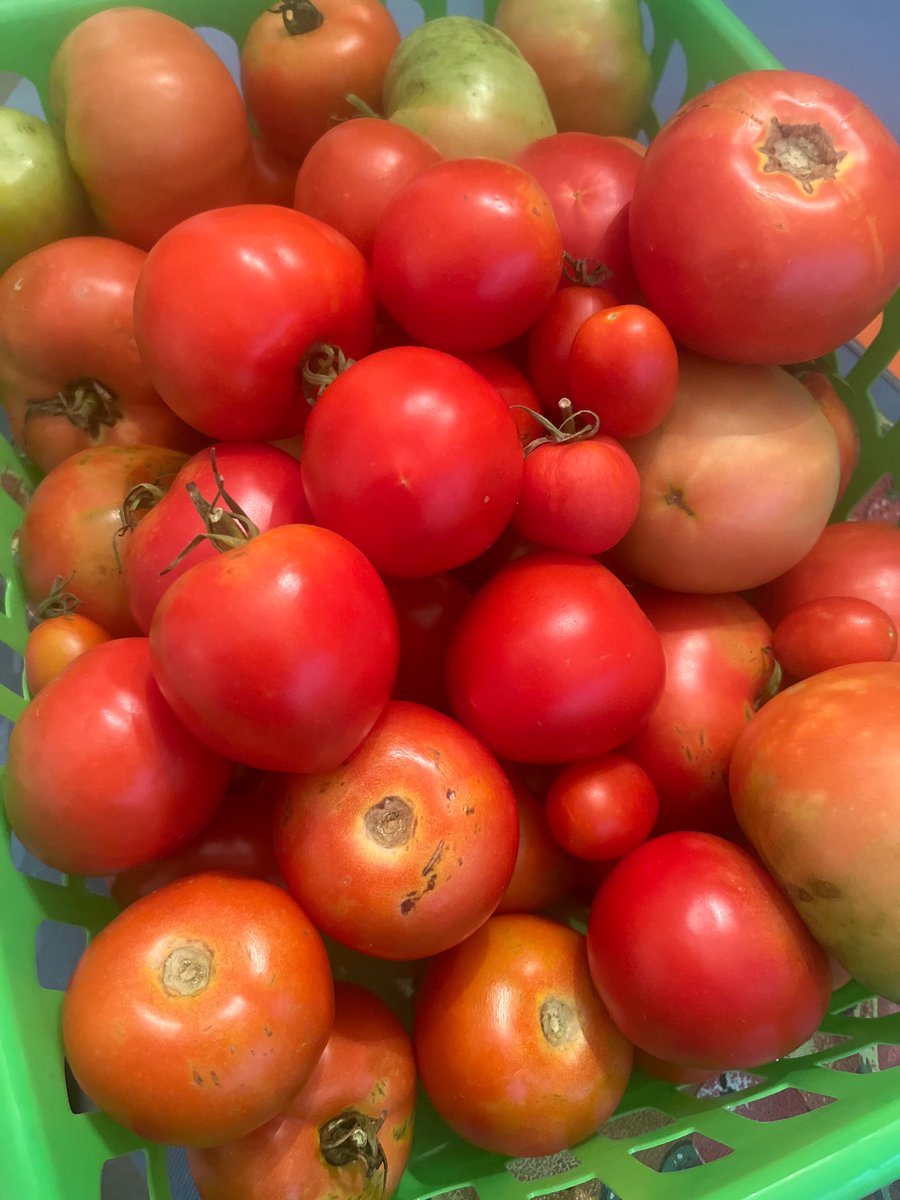 Joseph N. DiStefano tweet media