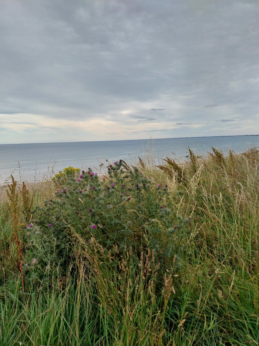 DonnaL75's tweet photo. @rabbryso Just on my home from a little weekend break by the seaside,it's been great,just the job😁👌 have a gudn Rab👍 https://t.co/uN9TTTXklp