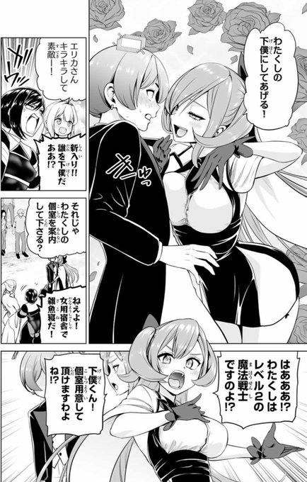 下僕にしてくれるエリカさんは魔法戦士  (1/2) 