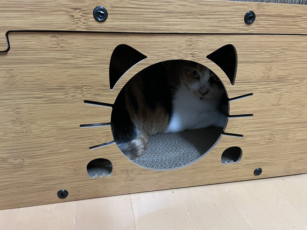 bgjmpto's tweet image. Amazonプライムセールで購入
爪研ぎ　CAT BOX 

入り心地、乗り心地、爪研ぎ心地
どうですか？

#猫好きさんと繋がりたい
#猫のいる暮らし
#CATBOX
#Amazon