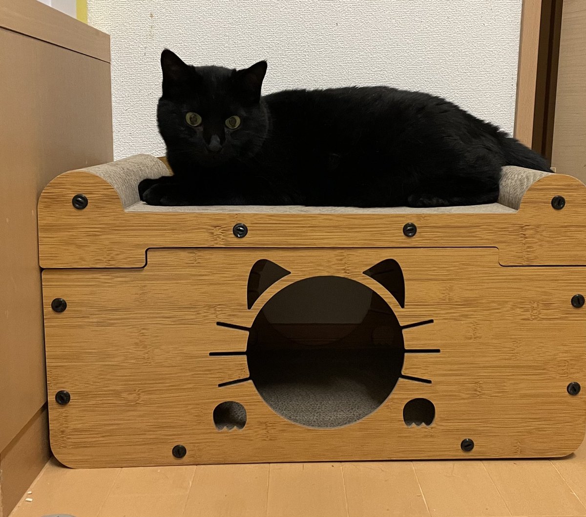 bgjmpto's tweet image. Amazonプライムセールで購入
爪研ぎ　CAT BOX 

入り心地、乗り心地、爪研ぎ心地
どうですか？

#猫好きさんと繋がりたい
#猫のいる暮らし
#CATBOX
#Amazon