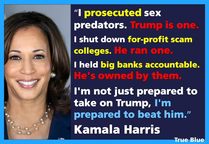 MICHAEL DOLLAR tweet media