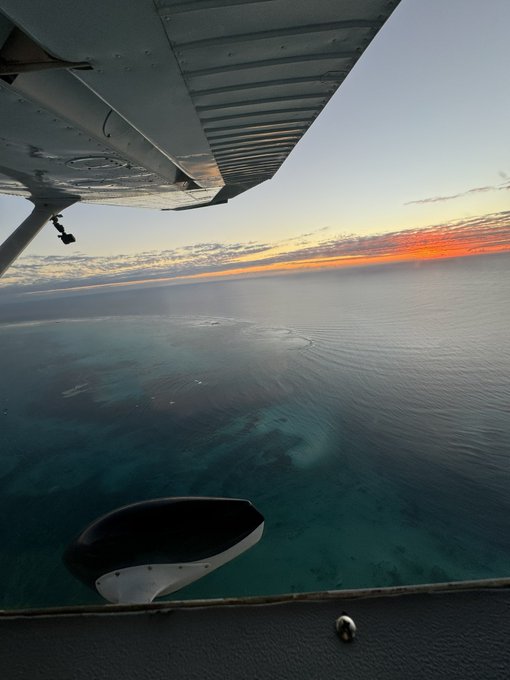 Can I get a GM https://t.co/NVU61zIxlE