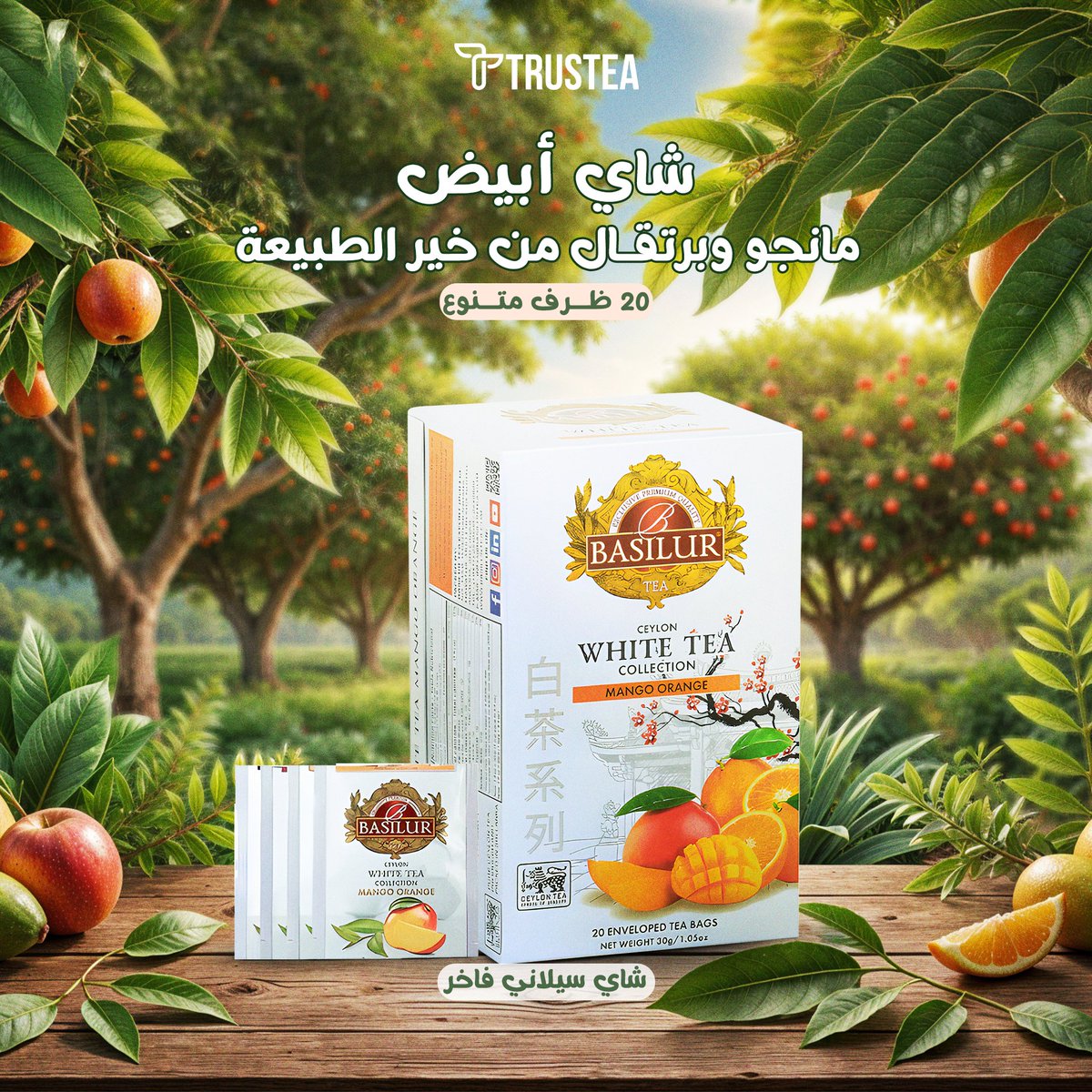 trustea_1's tweet photo. مزيج لذيذ من الشاهي الأبيض الفاخر بنكهة المانجو والبرتقال الطبيعيين.
كوب من الشاي الأبيض حلو ومنعش، مثالي للإستمتاع به حار أو بارد مع شوية عسل.
متوفر الحين 🌿💙 https://t.co/LzVB2mDTtI
📌توصيل لجميع أنحاء السعودية
📌توصيل نفس اليوم داخل الرياض + شحن مجانى للطلبات فوق 200 ريال. https://t.co/Ms0vLwLJjD