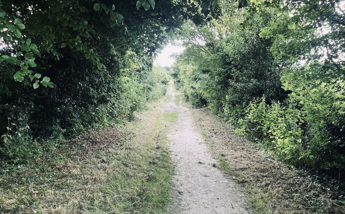 We’ve had such a wild growing season this year with all the rain and now humidity. Thank goodness for the maintenance team who have been out and about making sure our Trail is accessible and won’t sting as you go past.