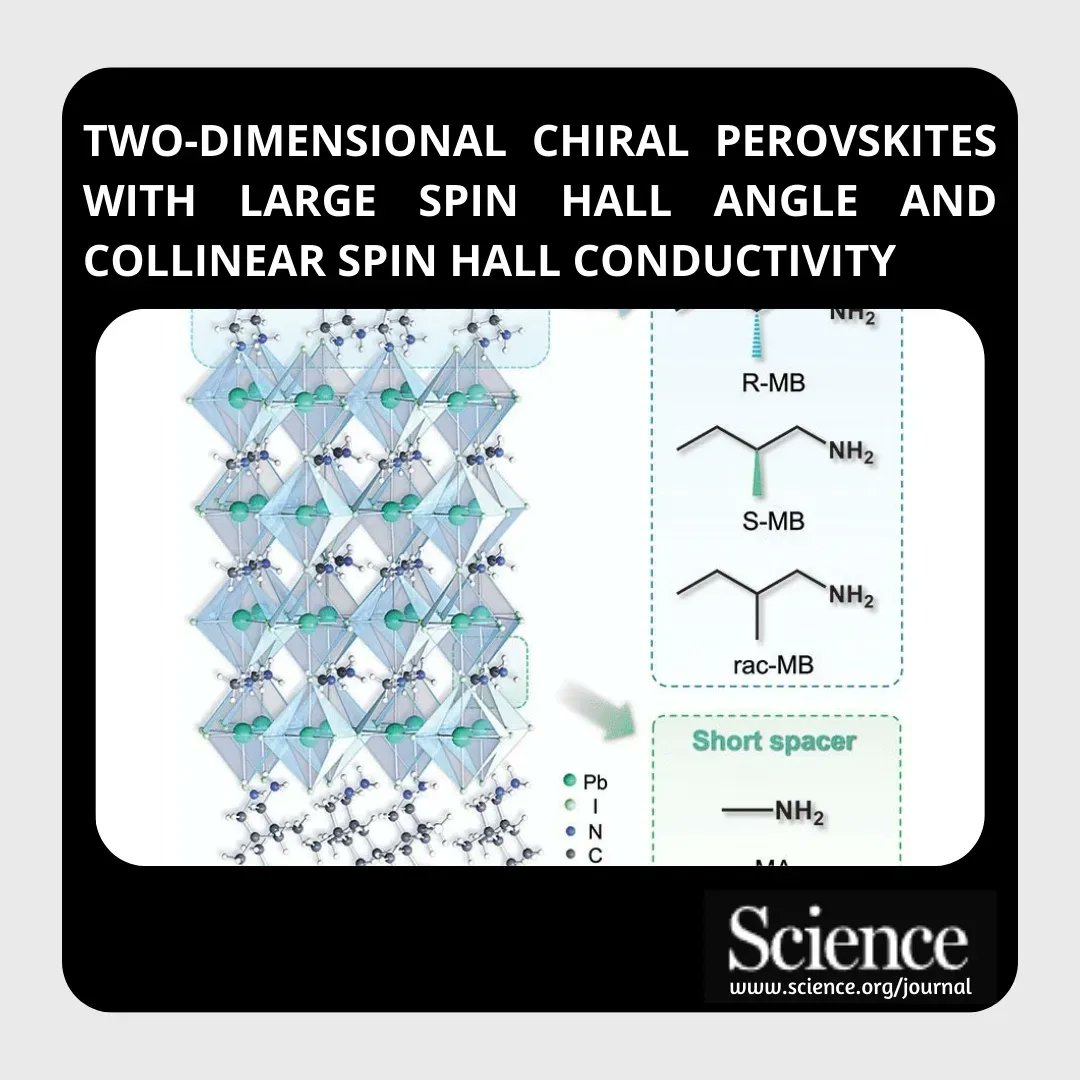 Netaji Subhas University of Technology tweet media